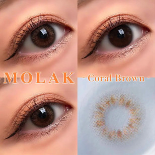 MOLAK Monthly CoralBrown モラク マンスリー コーラルブラウン